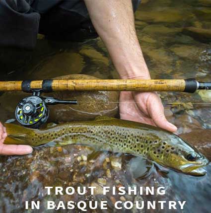 Trout fishing in Basque country